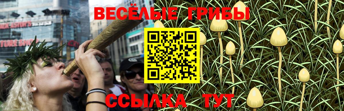 Галлюциногенные грибы Cubensis Гагарин